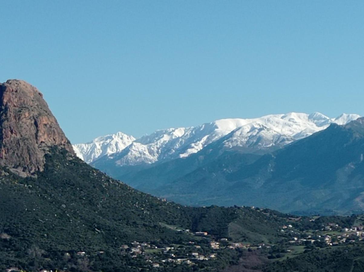 Perula Di Machja